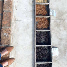 Load image into Gallery viewer, La Fany, Washed Heirloom, El Salvador