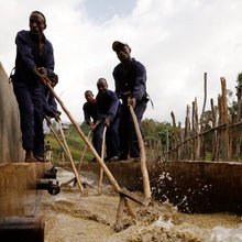Load image into Gallery viewer, Hunkute, Washed Heirloom Cultivars, Ethiopia