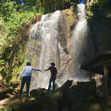Load image into Gallery viewer, Las Delicias, Natural Java, Nicaragua