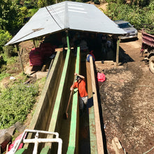 Load image into Gallery viewer, Las Delicias, Natural Java, Nicaragua
