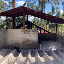 Load image into Gallery viewer, Limoncillo, Washed Caturra, Nicaragua
